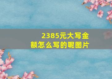 2385元大写金额怎么写的呢图片