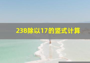 238除以17的竖式计算