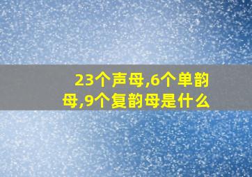 23个声母,6个单韵母,9个复韵母是什么