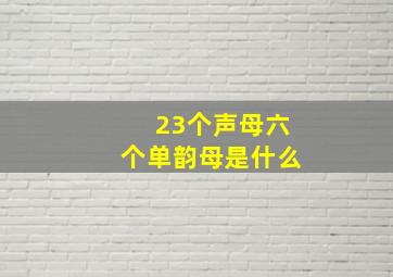 23个声母六个单韵母是什么