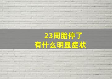 23周胎停了有什么明显症状