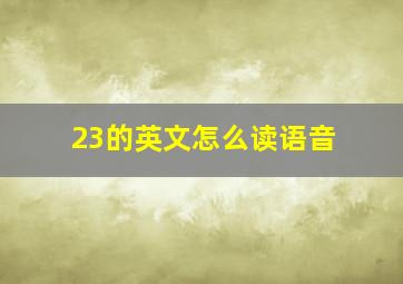 23的英文怎么读语音