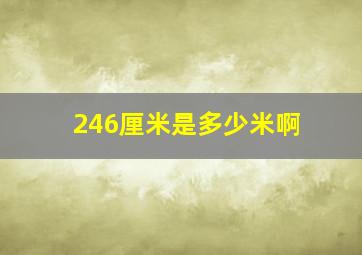 246厘米是多少米啊