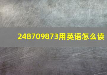 248709873用英语怎么读