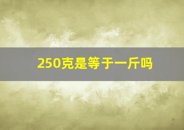 250克是等于一斤吗