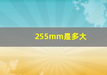 255mm是多大