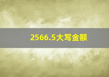 2566.5大写金额