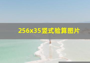 256x35竖式验算图片