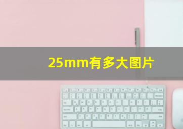 25mm有多大图片