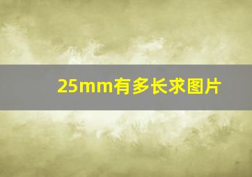 25mm有多长求图片