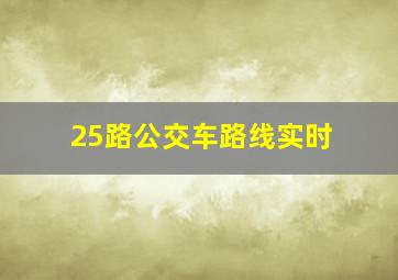 25路公交车路线实时