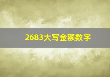 2683大写金额数字