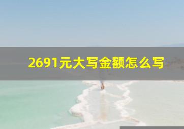 2691元大写金额怎么写