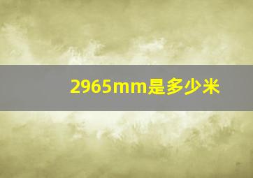 2965mm是多少米