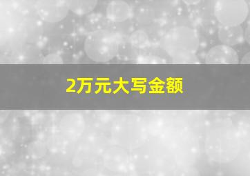 2万元大写金额