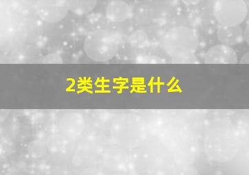 2类生字是什么