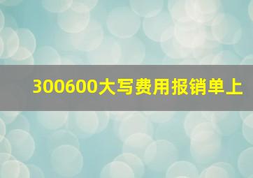 300600大写费用报销单上