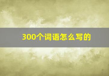 300个词语怎么写的