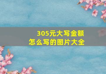 305元大写金额怎么写的图片大全