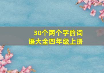 30个两个字的词语大全四年级上册