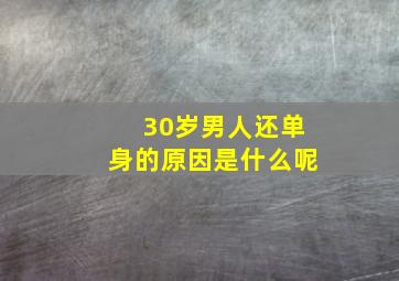 30岁男人还单身的原因是什么呢