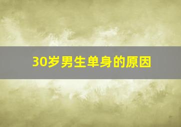 30岁男生单身的原因