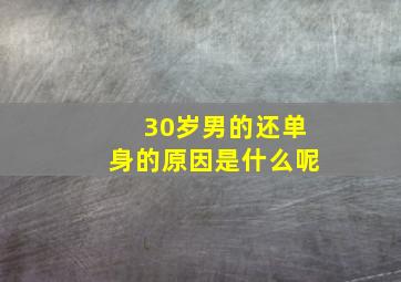 30岁男的还单身的原因是什么呢