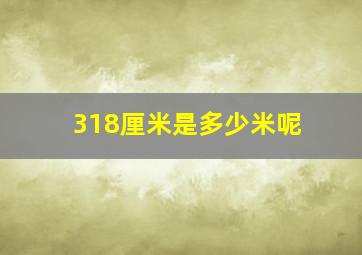 318厘米是多少米呢