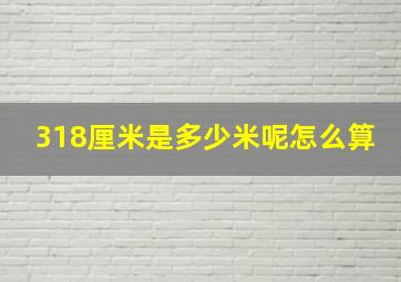 318厘米是多少米呢怎么算