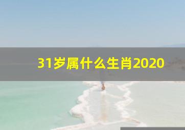 31岁属什么生肖2020