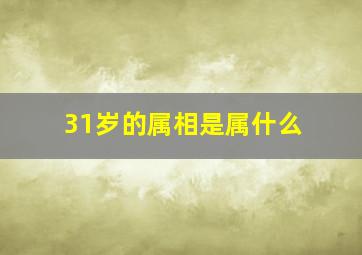 31岁的属相是属什么