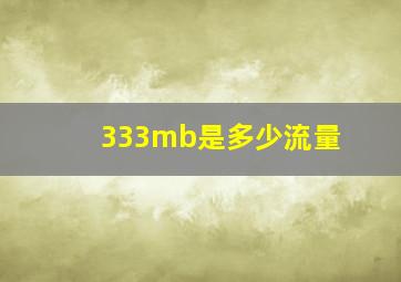 333mb是多少流量