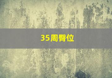 35周臀位