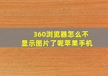 360浏览器怎么不显示图片了呢苹果手机