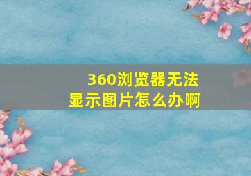 360浏览器无法显示图片怎么办啊