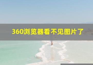 360浏览器看不见图片了