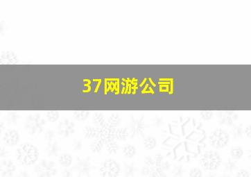 37网游公司