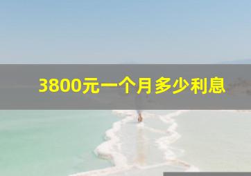 3800元一个月多少利息