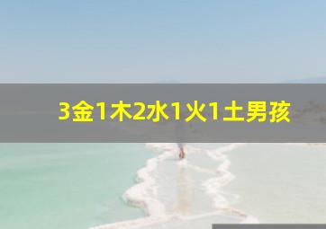 3金1木2水1火1土男孩