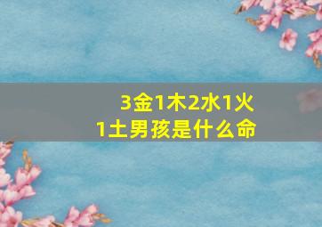 3金1木2水1火1土男孩是什么命