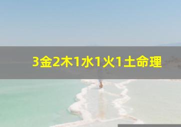 3金2木1水1火1土命理