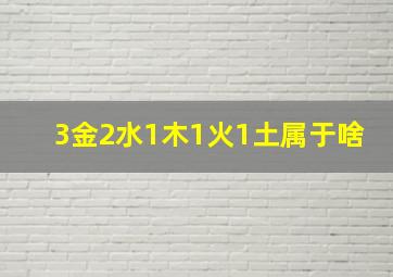 3金2水1木1火1土属于啥