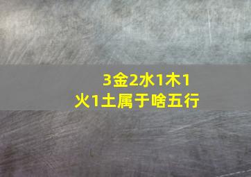 3金2水1木1火1土属于啥五行