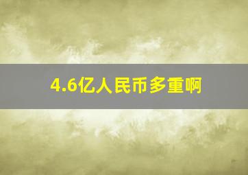 4.6亿人民币多重啊