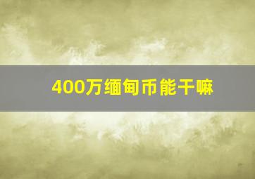 400万缅甸币能干嘛