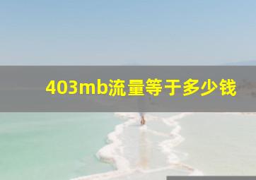 403mb流量等于多少钱