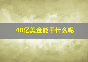 40亿美金能干什么呢