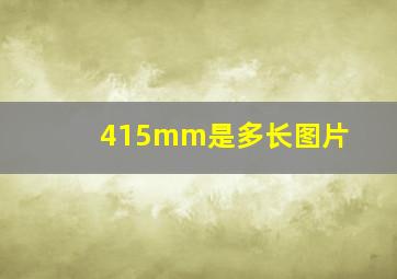 415mm是多长图片