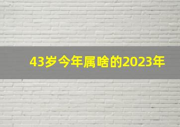 43岁今年属啥的2023年