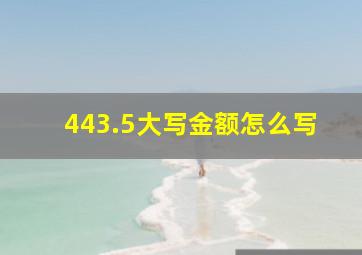 443.5大写金额怎么写